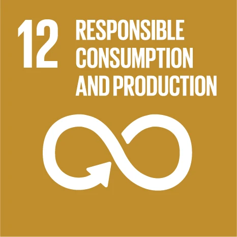 UN Sustainable Development Goal 12